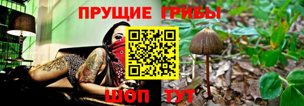 Галлюциногенные грибы прущие грибы Железноводск